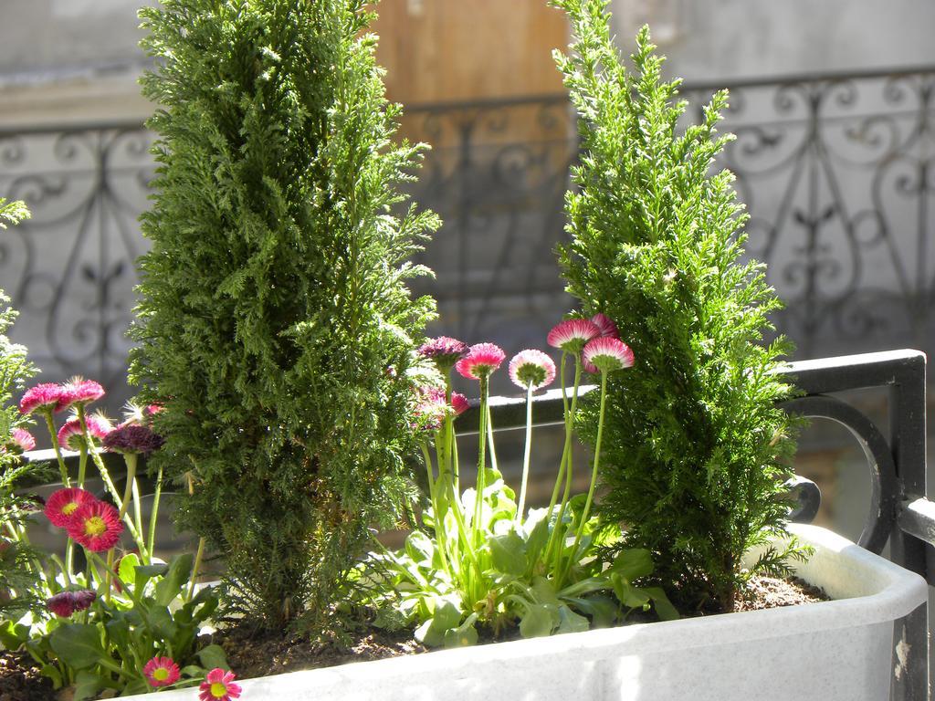 Prince Machabeli Apartments Tbilisi Exterior photo